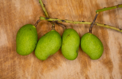 Appemidi Pickle 500g